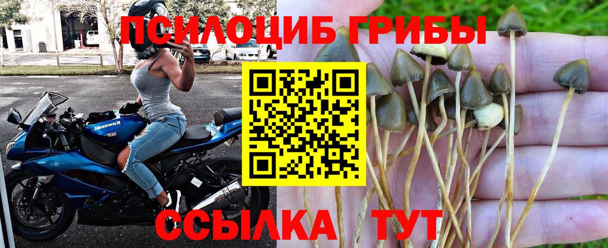 Удомля  Галлюциногенные грибы MAGIC MUSHROOMS  наркошоп  Вход с VPN 