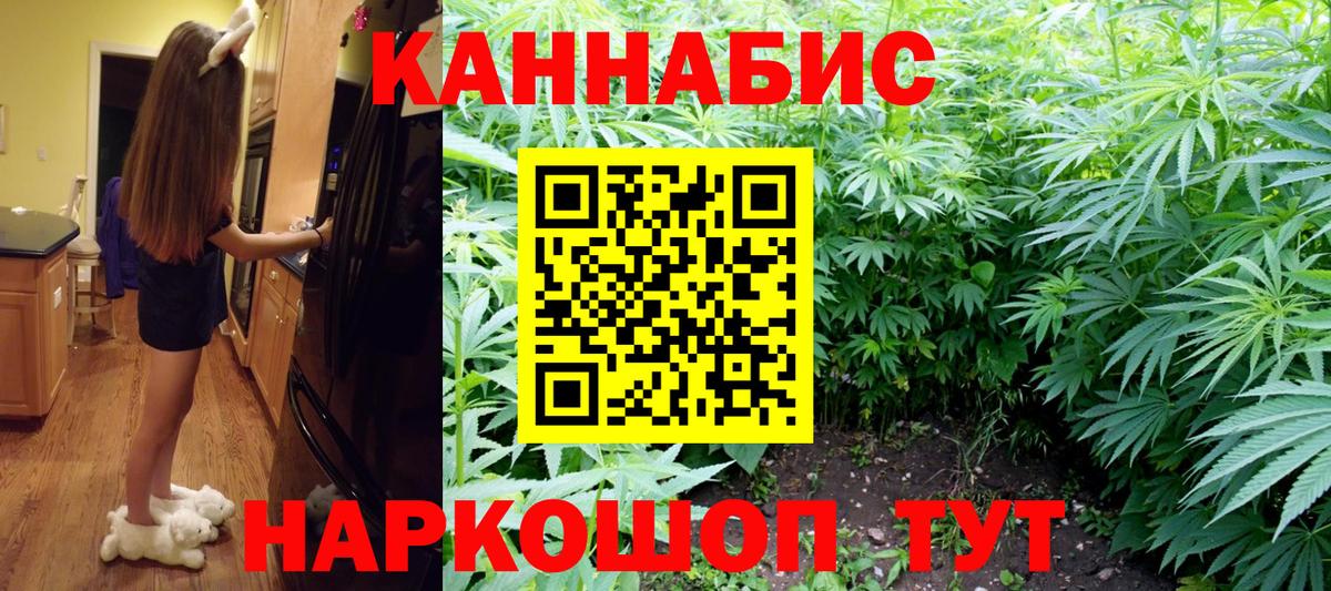 Удомля  МАРИХУАНА сатива  Каннабис сатива  Бошки марихуана семена  Вход с VPN 